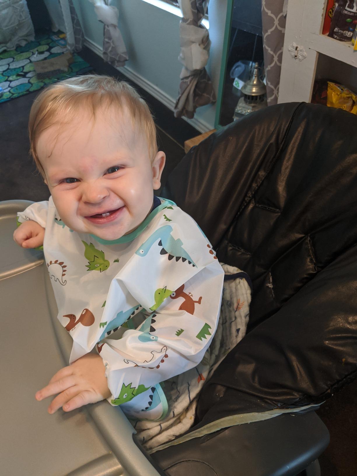 Waterproof Long Sleeved Baby Toddler Bibs Shirt Bibs 5 Pcs Set for 3 -24 Months HaimoBurg